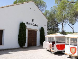 Hoya de Cadenas wine train