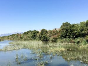 Albufuera natural park